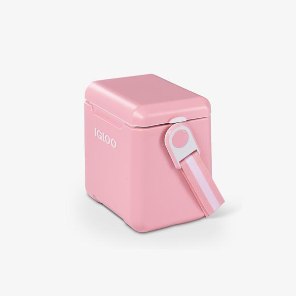 Small igloo ice discount chest