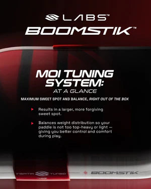 Selkirk LABS Project Boomstik