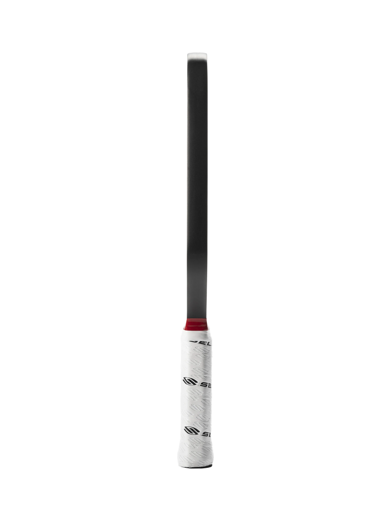 Selkirk LABS Project 008