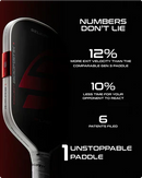 Selkirk LABS Project Boomstik