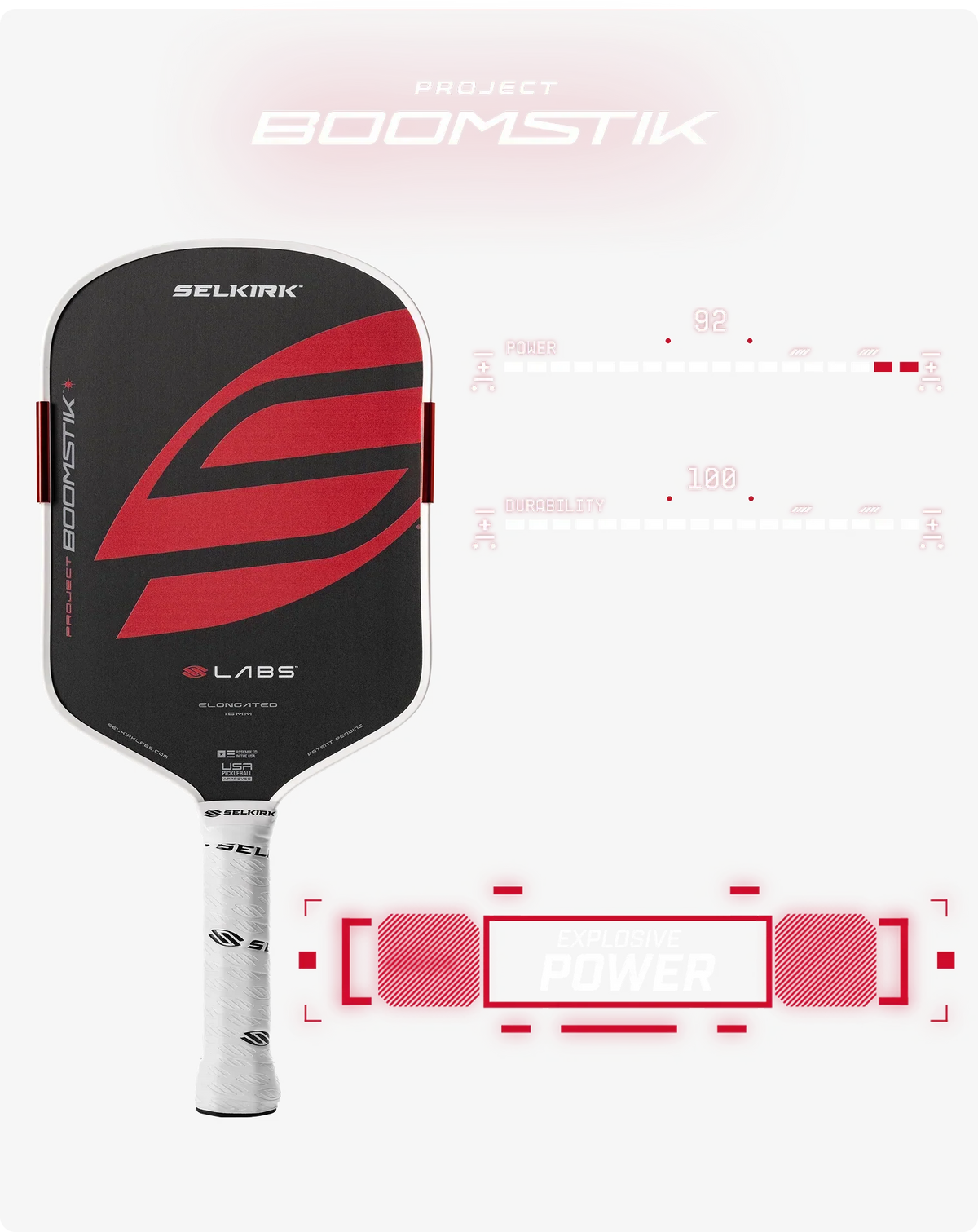 Selkirk LABS Project Boomstik