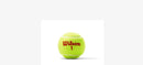 Wilson US Open Orange Tournament Tennis Balls 3-ball Can
