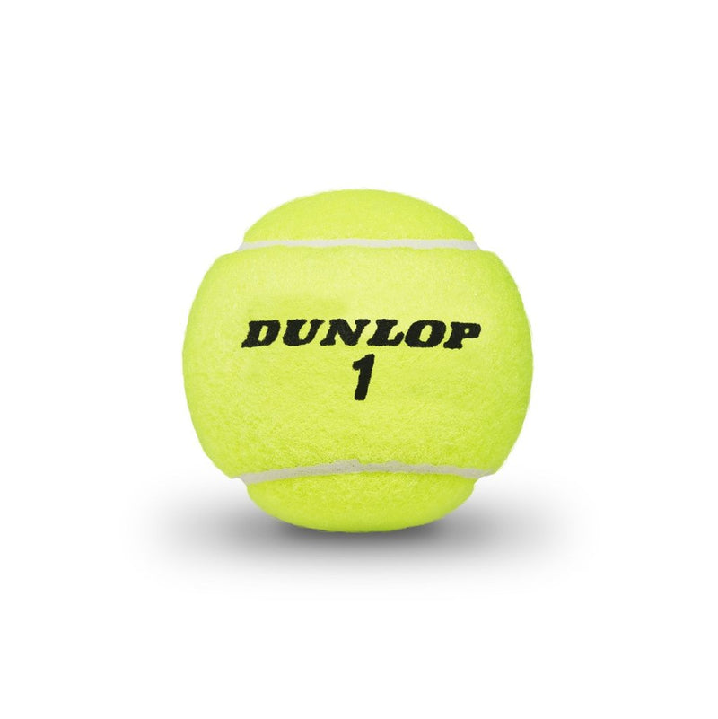 Dunlop ATP Championship Extra Duty Tennis Balls - 24 Can Case
