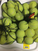 Head Penn Pressureless-Case (10 Bags,120 Balls)